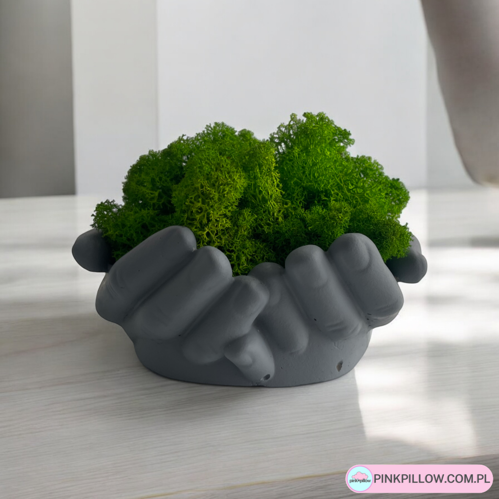 Doniczka w kształcie Dłoni z Mchem Chrobotkiem w środku