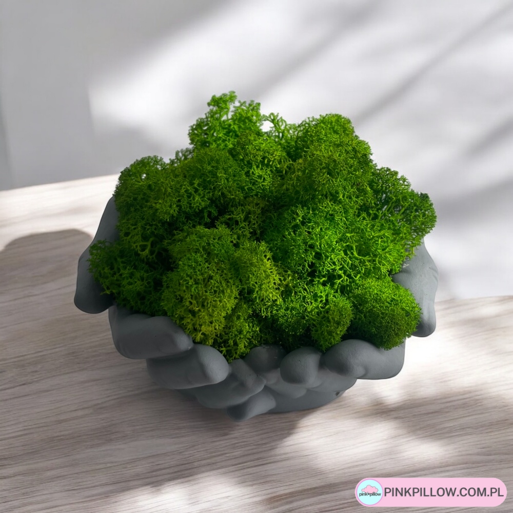 Doniczka Dłonie z Mchem