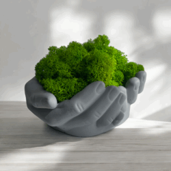 Doniczka Dłonie z Chrobotkiem Reniferowym