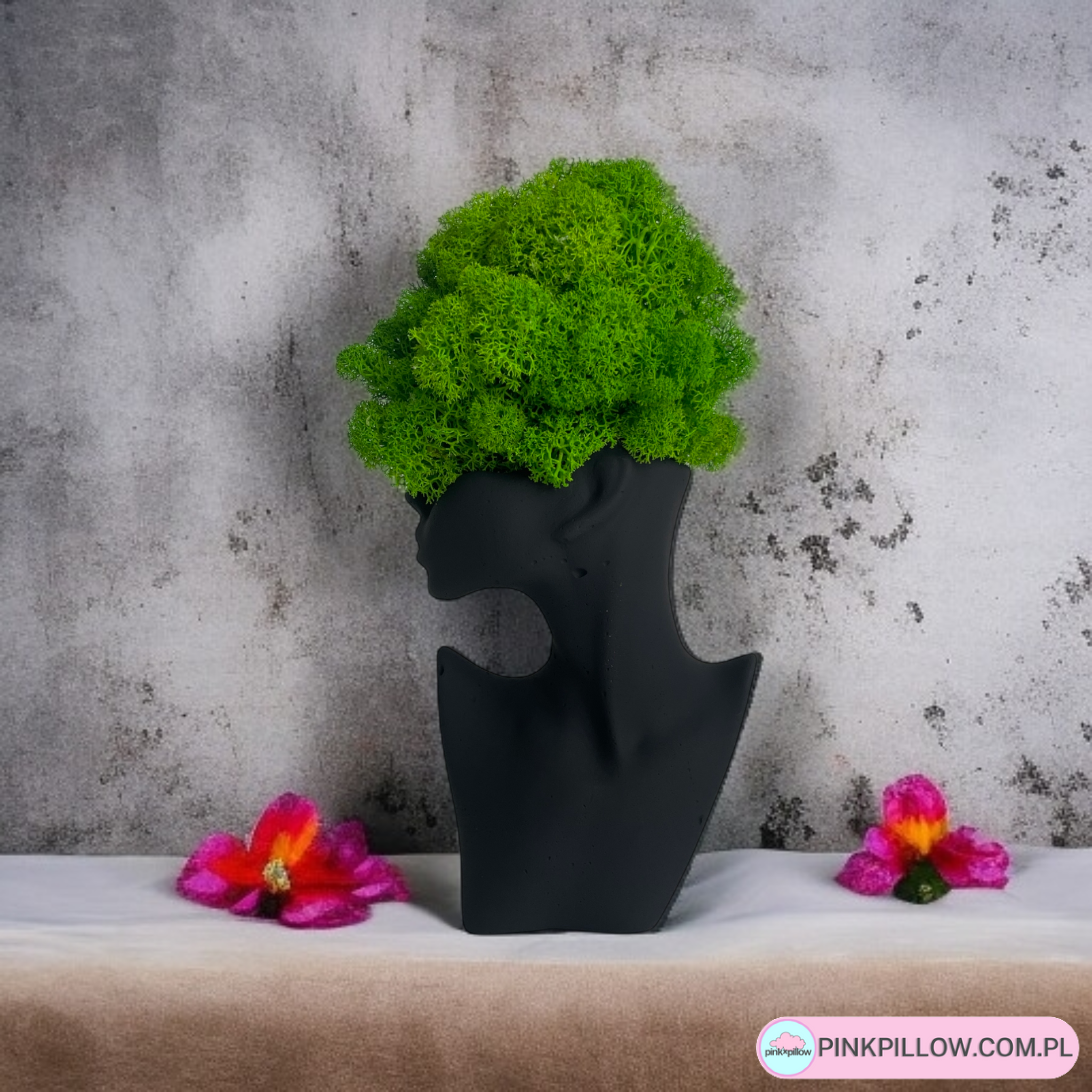 Doniczka Głowa Czarna z Mchem Chrobotkiem