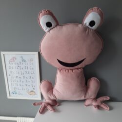 Dekoracyjna Poduszka Żaba - Różne Kolory