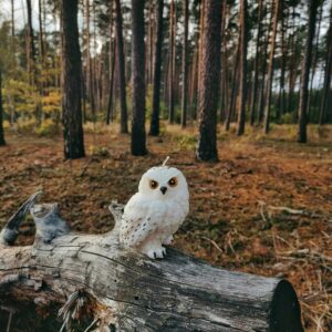 Świeca sojowa - sowa Hedwiga