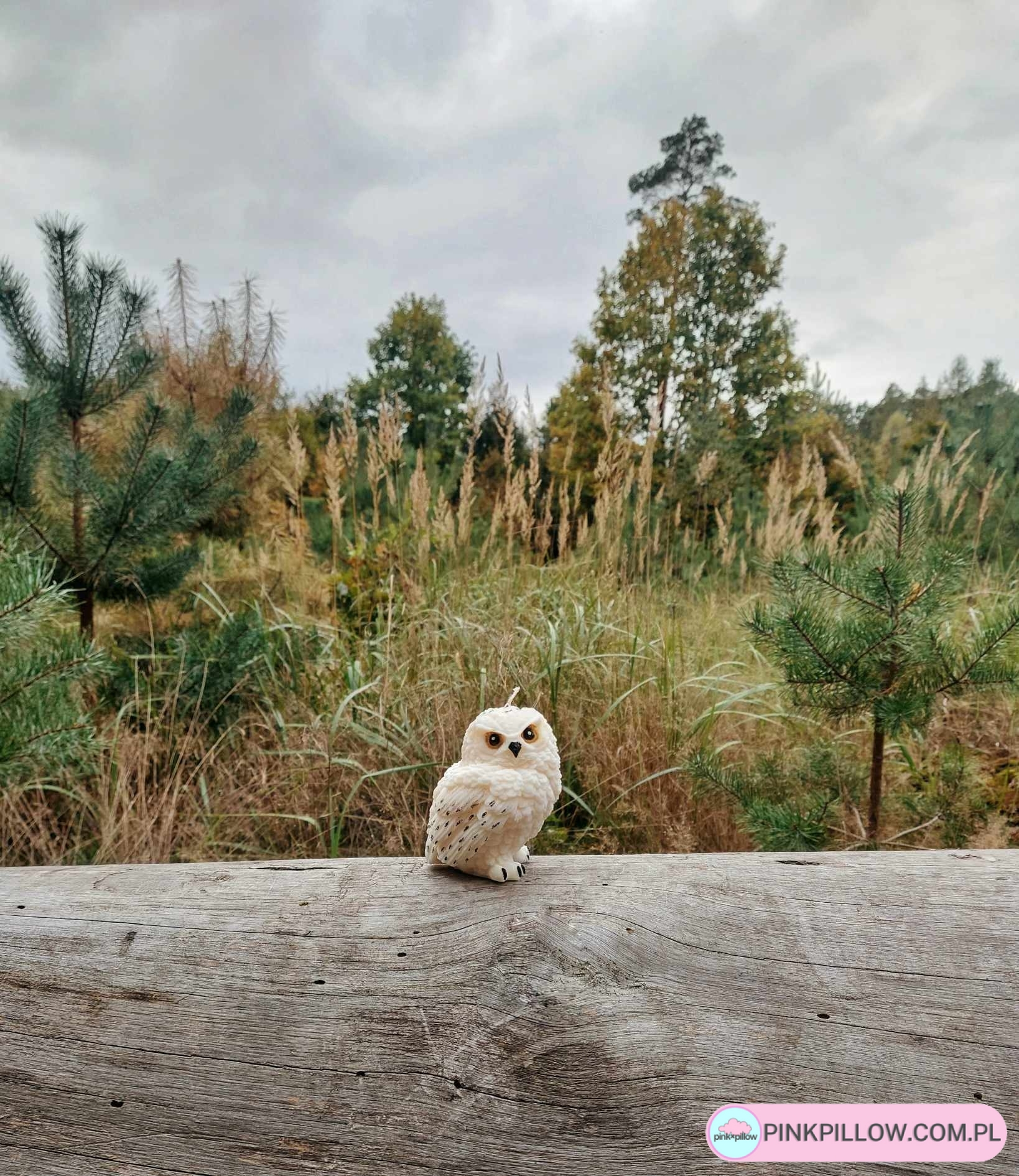 Świeca sojowa - sowa Hedwiga - Prezent dla fanów Harrego Pottera