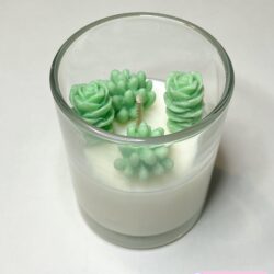 Mała Świeca Sukulenty w szkle