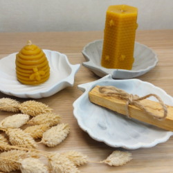 Podstawka Muszla betonowa - Różne Kolory