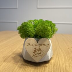 Podziękowanie w Doniczce z Chrobotkiem - Wariant 2 (Doniczka w Kolorze Białym i Mech w Kolorze Jasnym Zielonym)