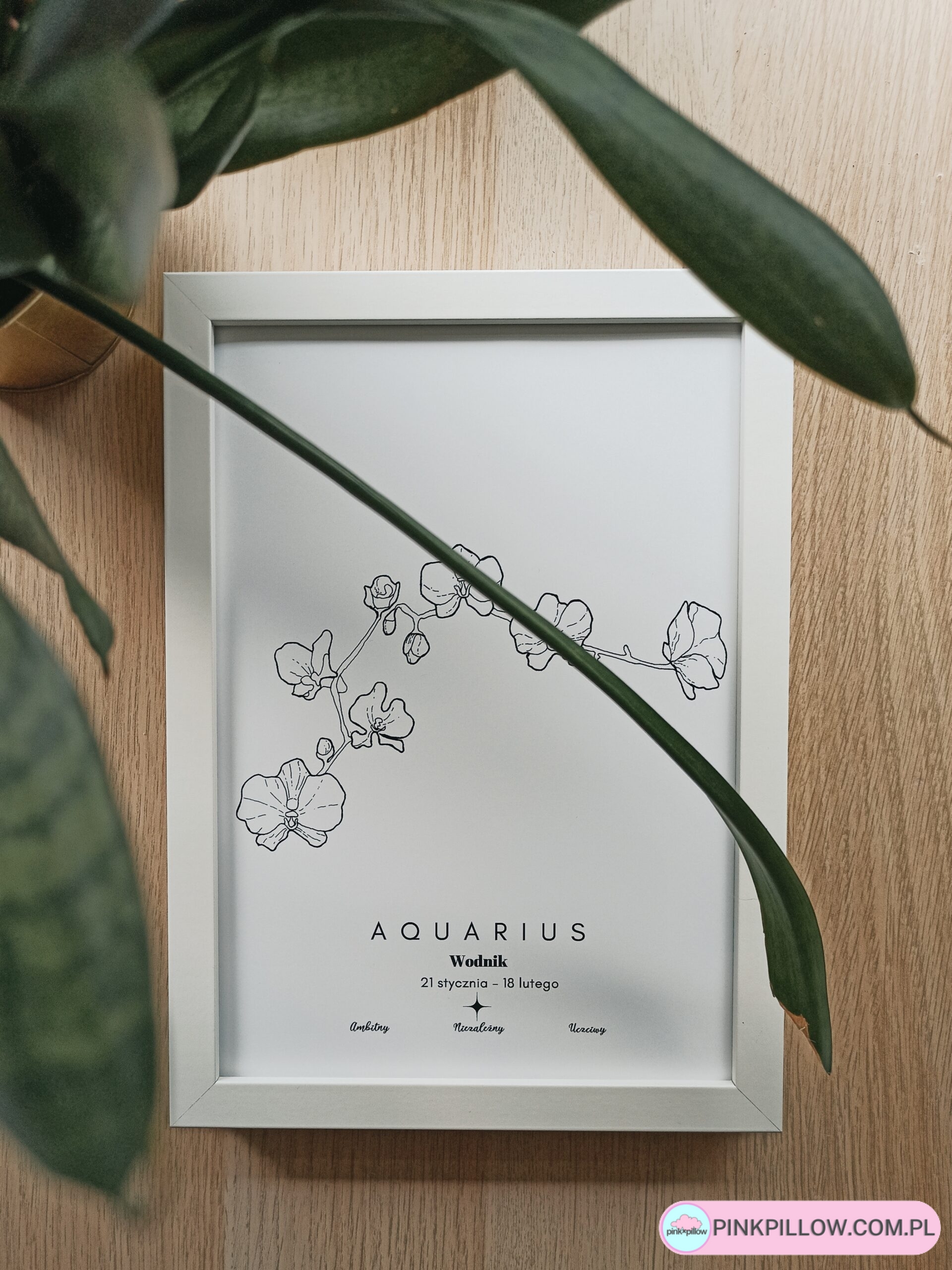 Plakat Znaki Zodiaku – Wodnik Aquarius – Format A4 - Z bliska