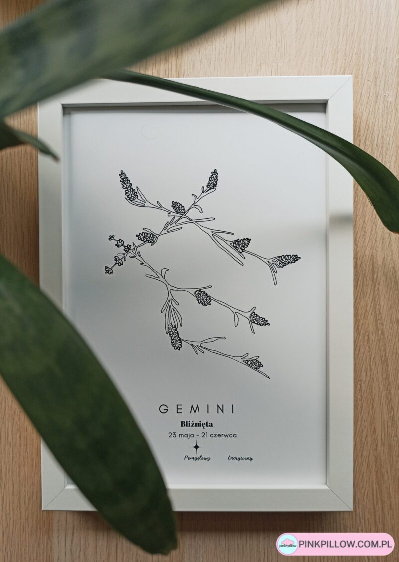 Plakat Znaki Zodiaku – Konstelacje Kwiatowe – Bliźnięta Gemini – Z bliska