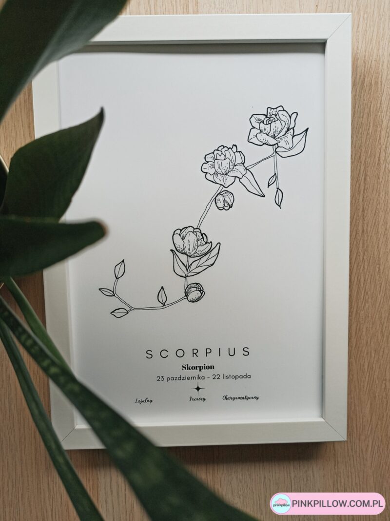 Plakat Znaki Zodiaku – Konstelacje Kwiatowe – Skorpion Scorpius – Z bliska