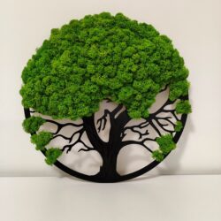 Obraz z mchu Drzewo - Różne Rozmiary