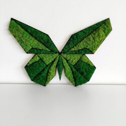 Geometryczny Motyl na ścianę z mchu - Różne Rozmiary