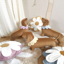 Poduszka Jamnik z kołnierzykiem - Różne Kolory