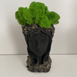 Doniczka Twarz Kobiety z Chrobotkiem - Różne Kolory