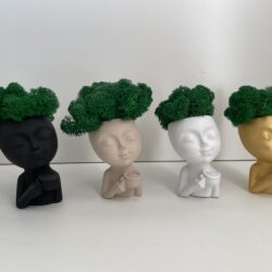 Doniczka Głowa z Chrobotkiem - Różne Kolory