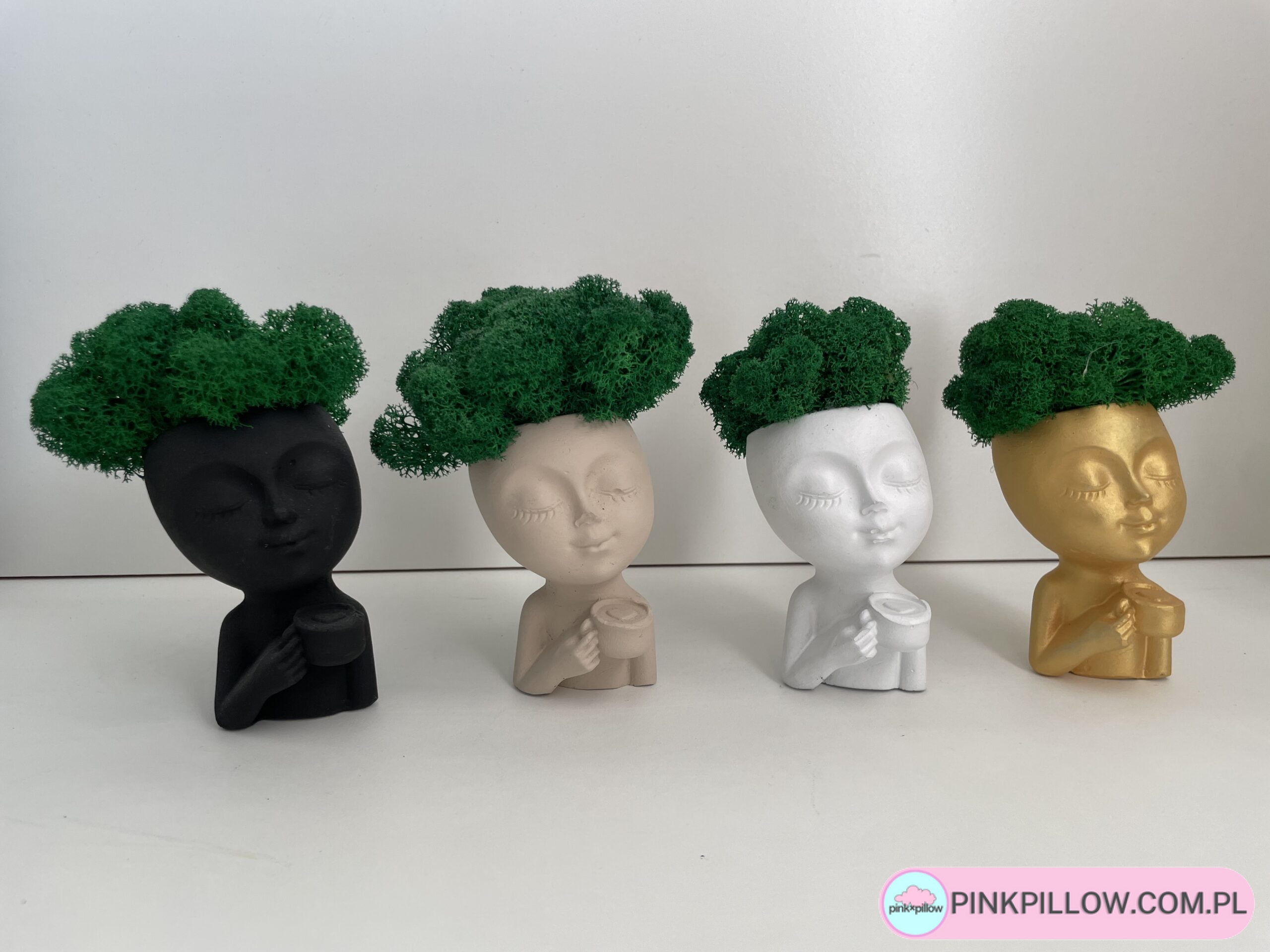 Doniczka Głowa z Chrobotkiem - Różne Kolory