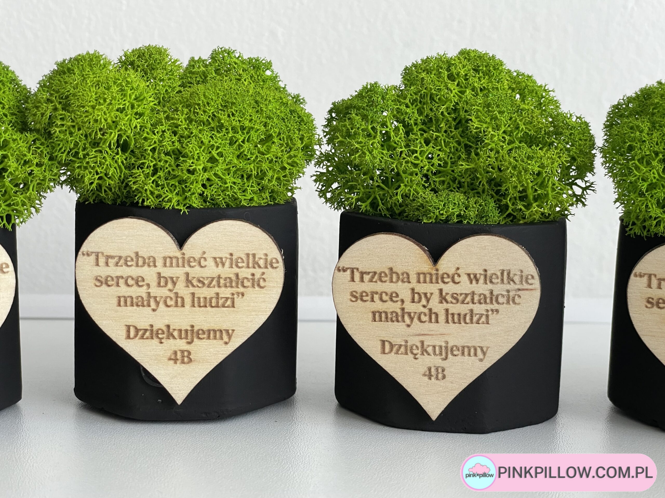 Małe Podziękowania dla Gości - Mech w doniczkach