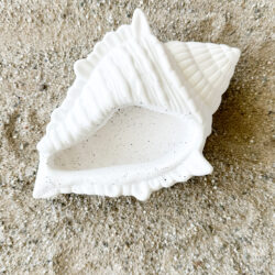 Podstawka w kształcie Muszli