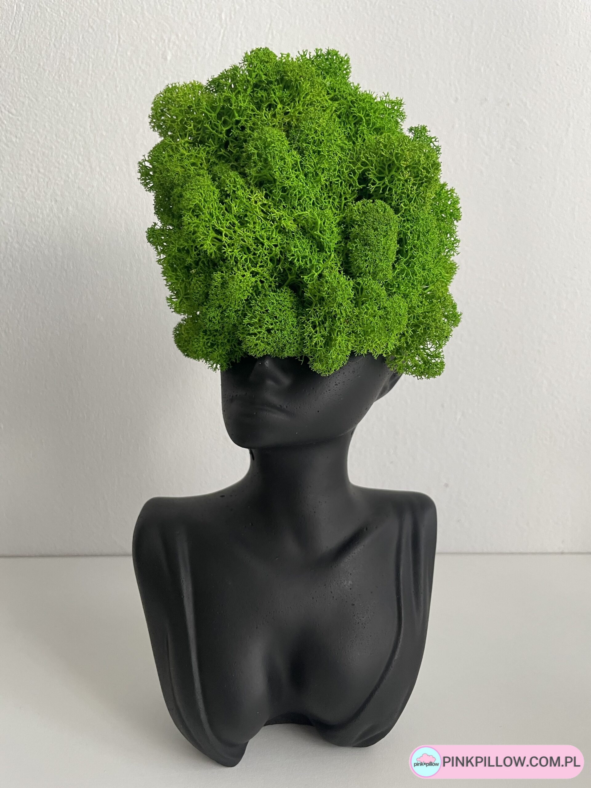 Głowa Doniczka Kobieta z Chrobotkiem