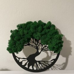 Ramka z Mchem Drzewo - Wymiary 20x20 cm