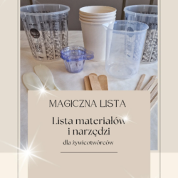 E-book: "Magiczna lista materiałów i narzędzi dla żywicotwórców" + kody rabatowe