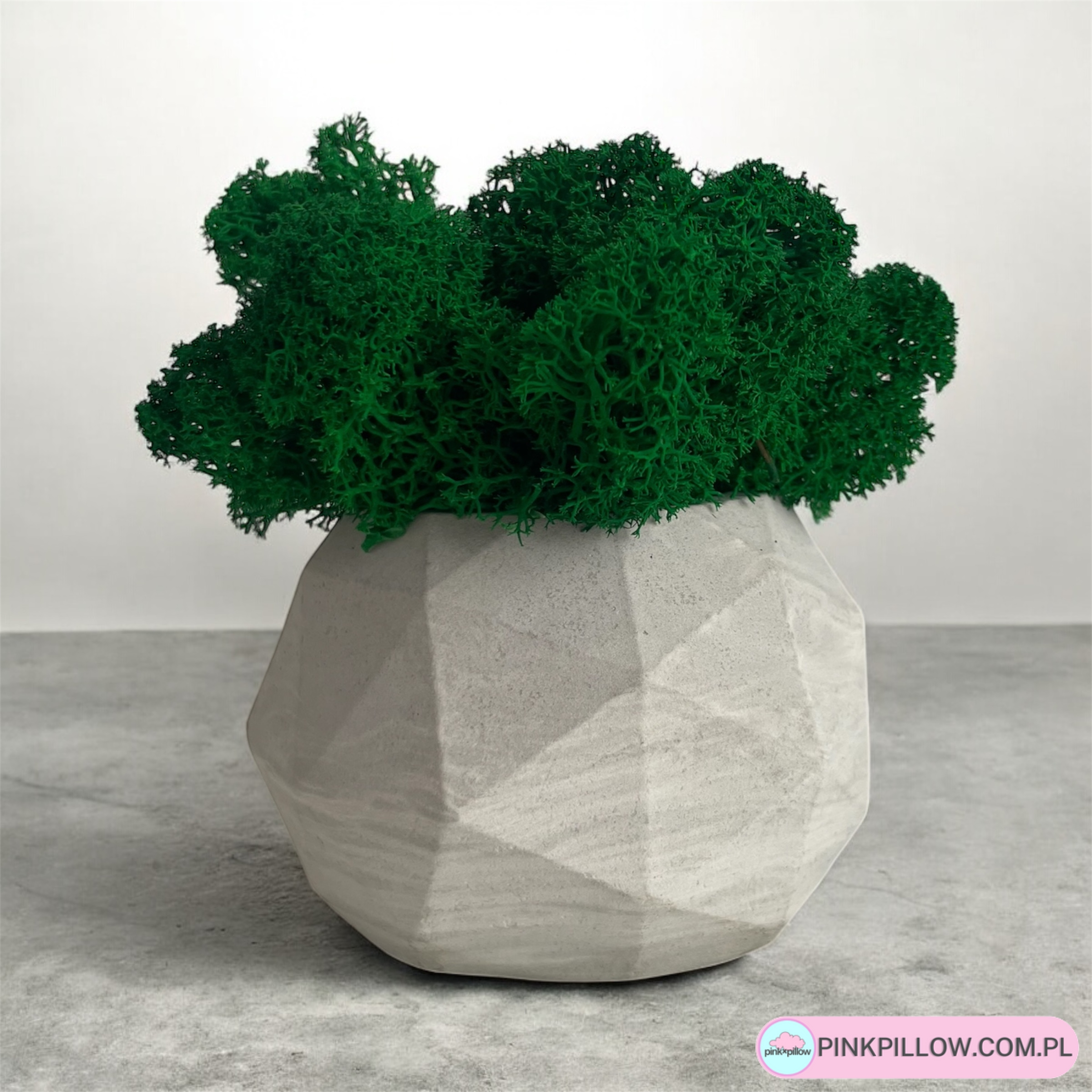 Mech chrobotek w Doniczce betonowej - Kolor Surowy beton