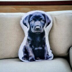 Pluszowy Labrador Czarny Poduszka