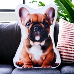 Poduszka z Buldogiem francuskim Brązowym