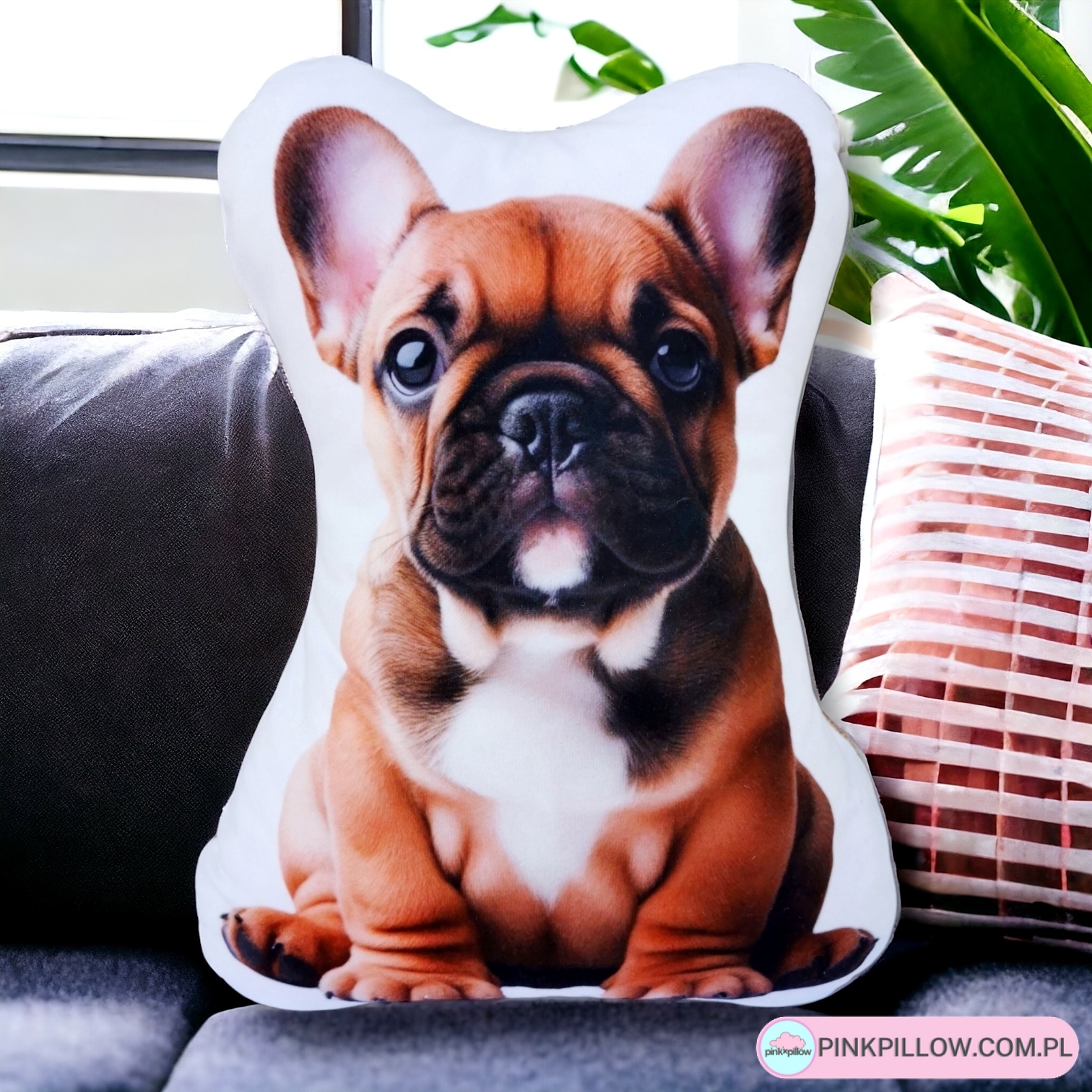 Poduszka z Buldogiem francuskim Brązowym