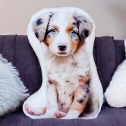 Poduszka z nadrukiem Psa "Owczarek australijski"