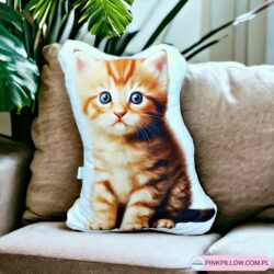 Poduszka z nadrukiem Kota Rudego