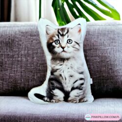 Poduszka w Kota Szarego