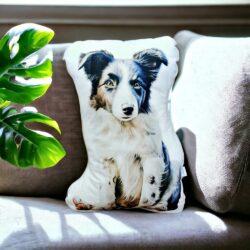 Poduszka Piesek - Wzór Border Collie