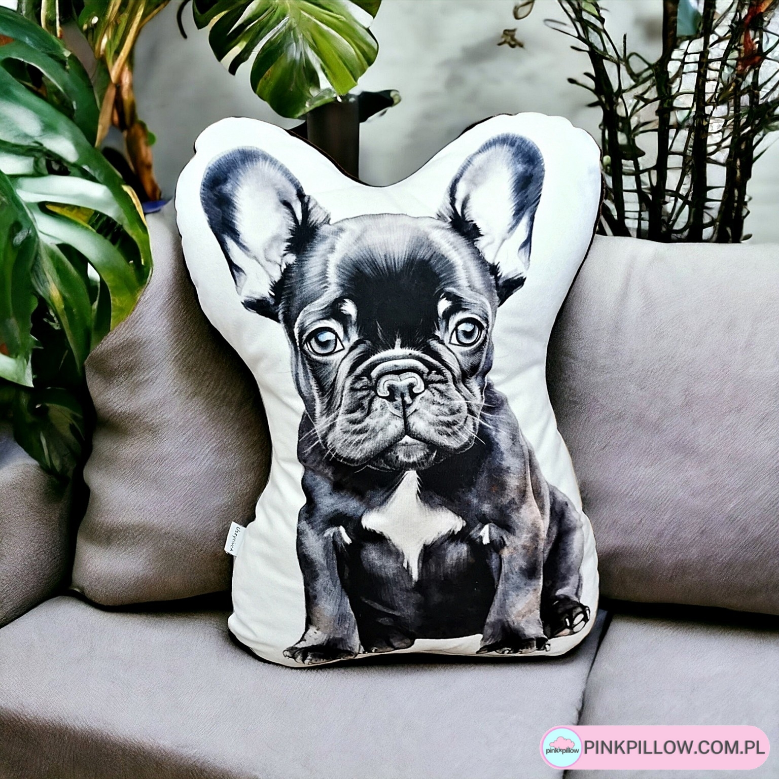 Poduszka Buldog Francuski Czarny