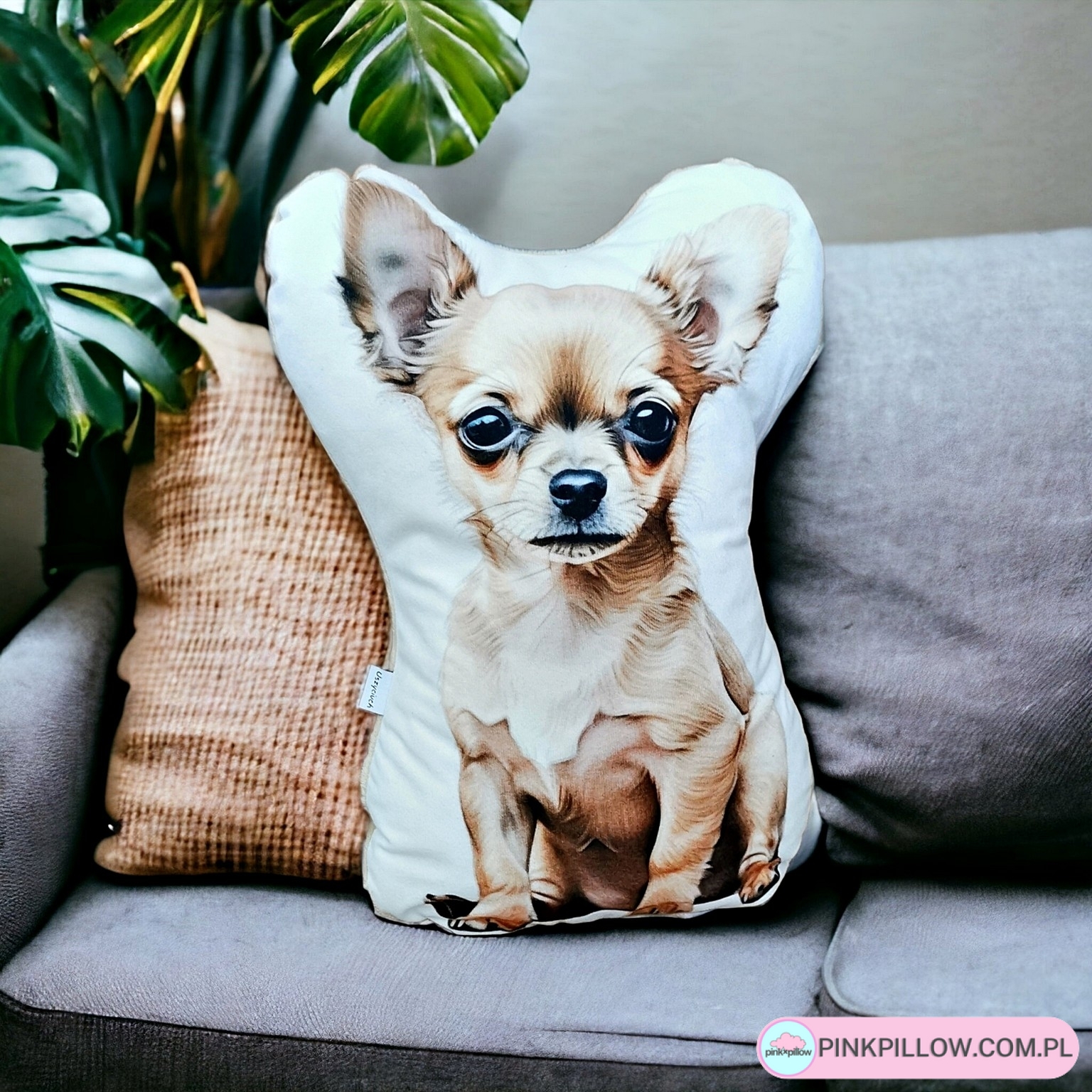 Poduszka Chihuahua nadruk