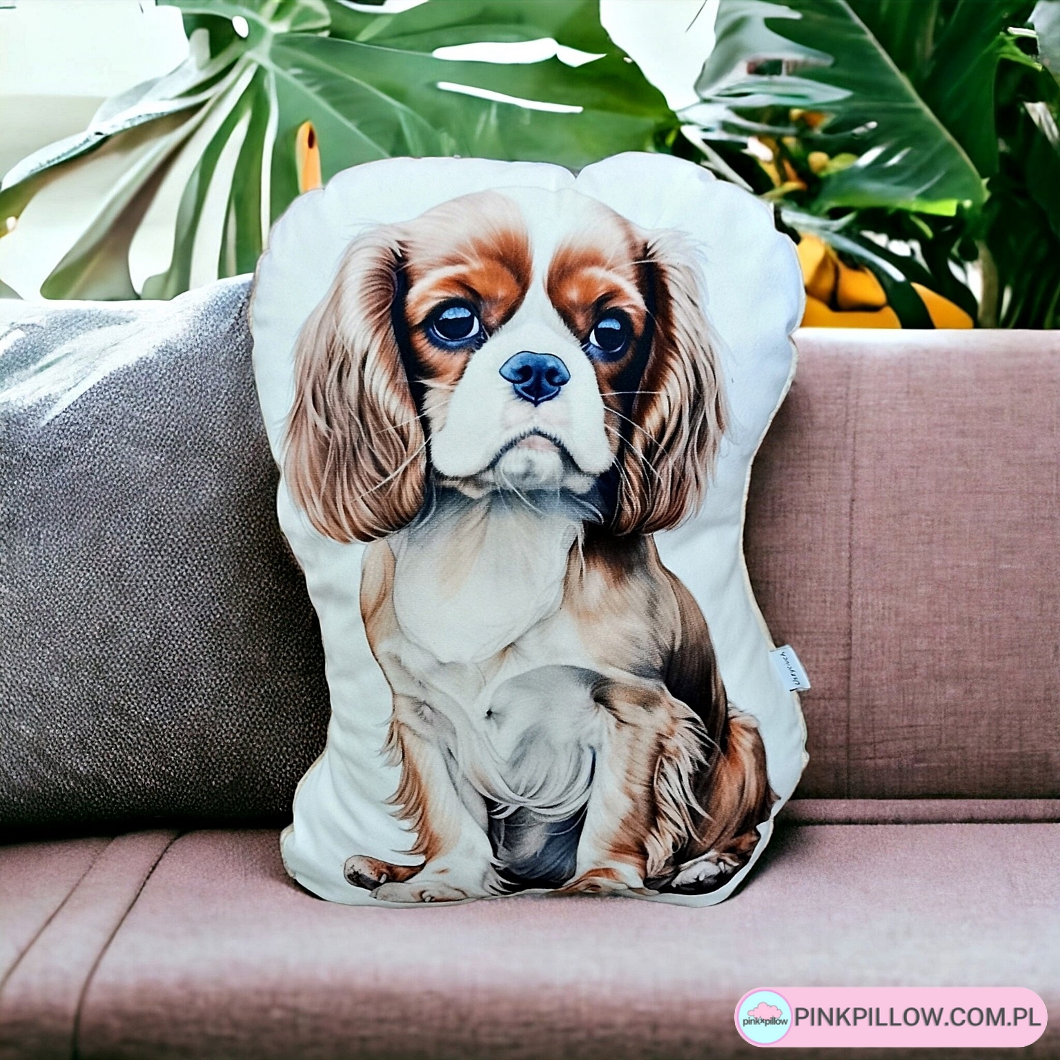 Poduszka z Cavalierem King Charles Spanielem