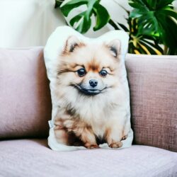 Poduszka Pomeranian - Wzór ze Szpicem miniaturowym