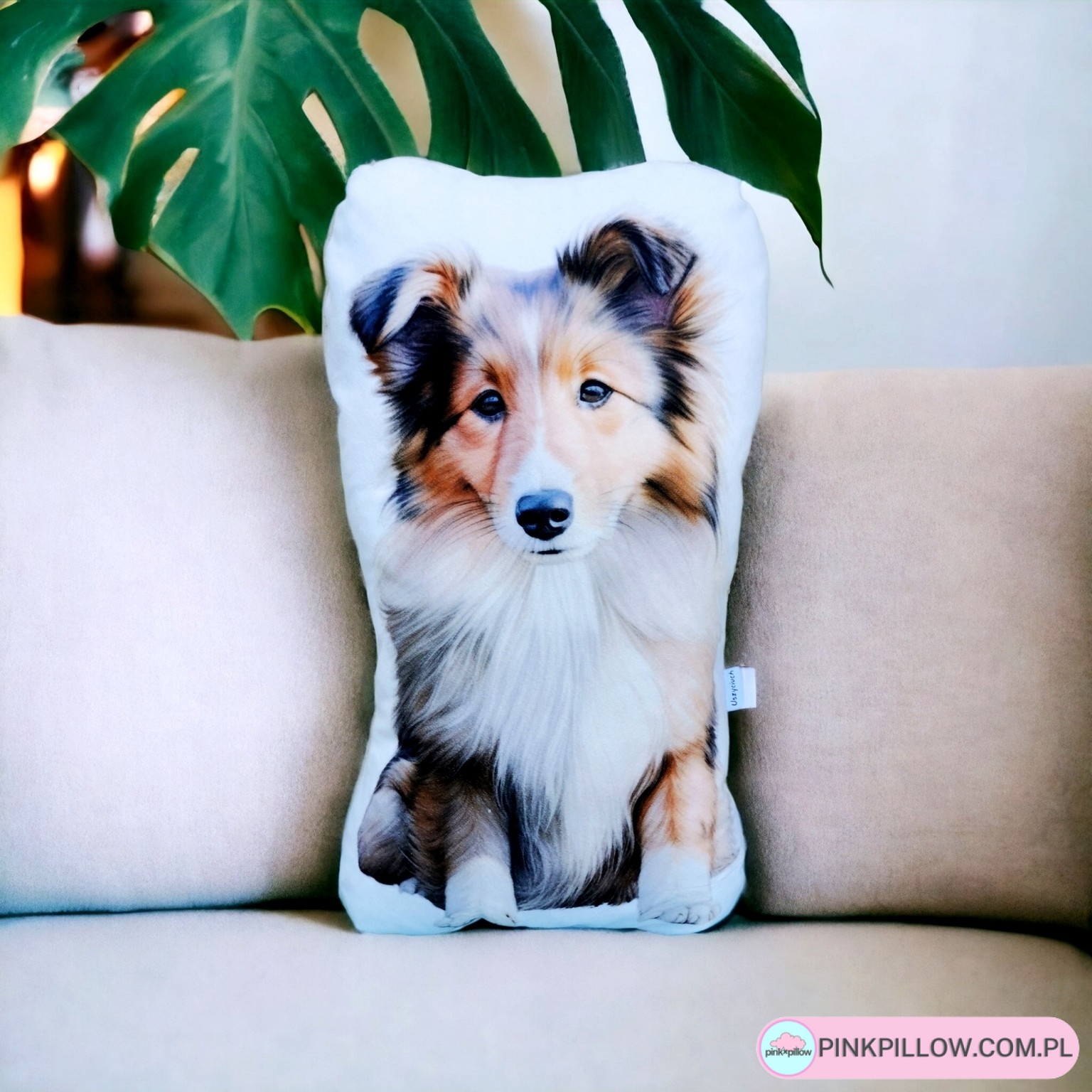 Piesek na Poduszce "Owczarek szkocki"