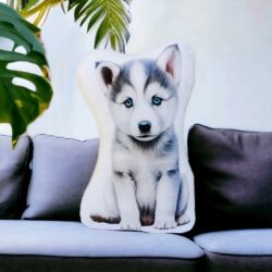Poduszka Husky piesek