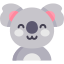 Koala - Grafika
